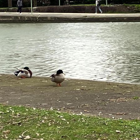 Appartement Sur Et Garage Au Stade De France A 2 Mn De Paris, 20 De Roissy Cdg Et 30 De La Defense Animaux Bienvenus Saint-Denis  Luaran gambar